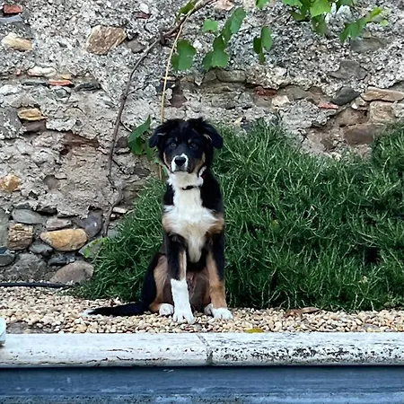 22 Casa vacanze